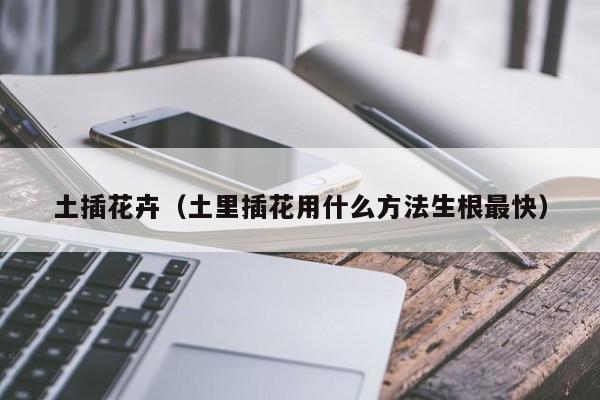 土插花卉（土里插花用什么方法生根最快）