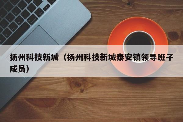 扬州科技新城（扬州科技新城泰安镇领导班子成员）