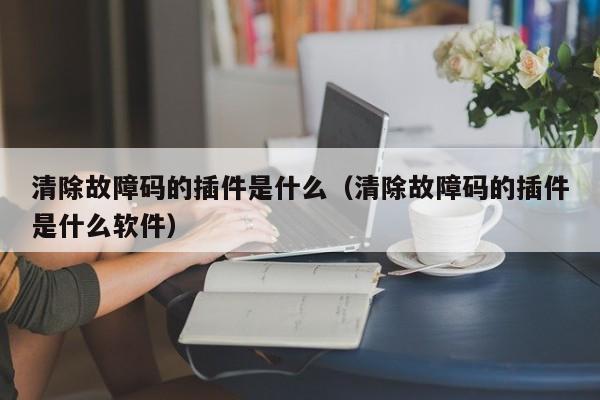 清除故障码的插件是什么（清除故障码的插件是什么软件）