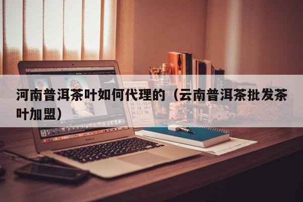 河南普洱茶叶如何代理的（云南普洱茶批发茶叶加盟）