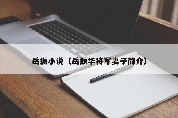 岳振小说（岳振华将军妻子简介）