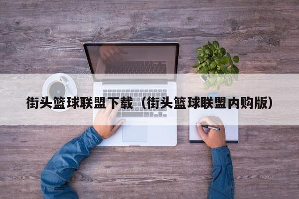 街头篮球联盟下载（街头篮球联盟内购版）