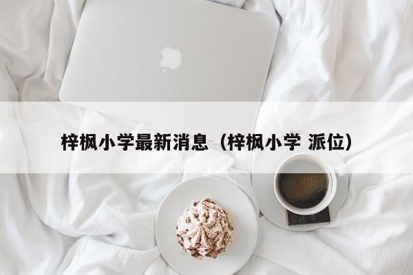 梓枫小学最新消息（梓枫小学 派位）