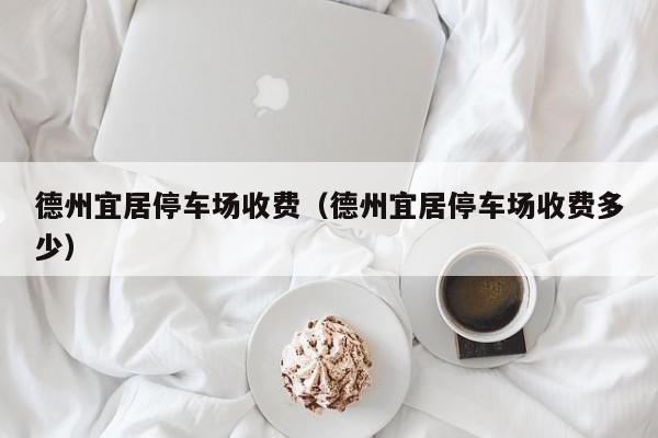 德州宜居停车场收费（德州宜居停车场收费多少）