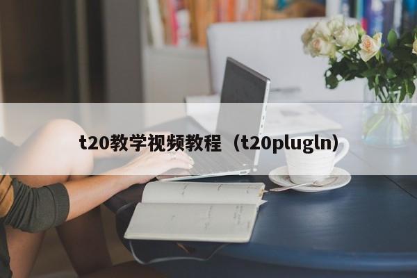 t20教学视频教程（t20plugln）