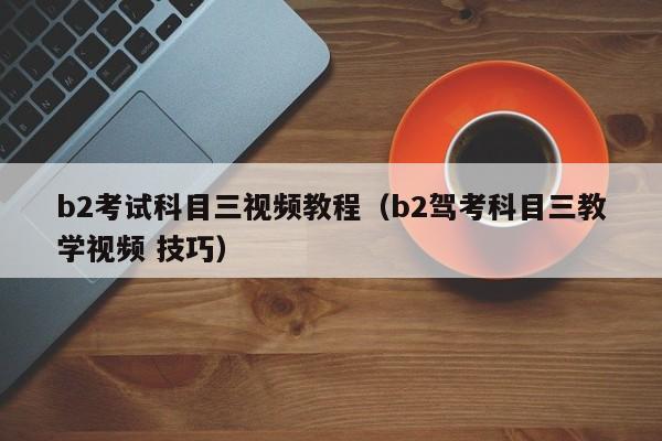 b2考试科目三视频教程（b2驾考科目三教学视频 技巧）