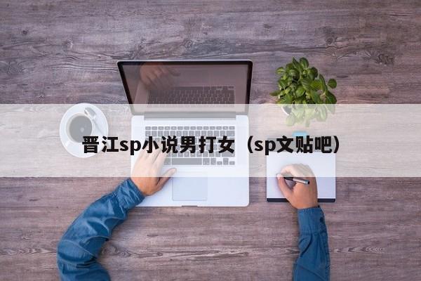 晋江sp小说男打女（sp文贴吧）