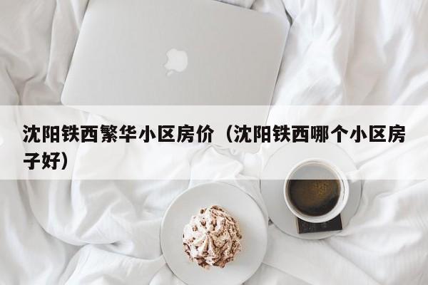 沈阳铁西繁华小区房价（沈阳铁西哪个小区房子好）