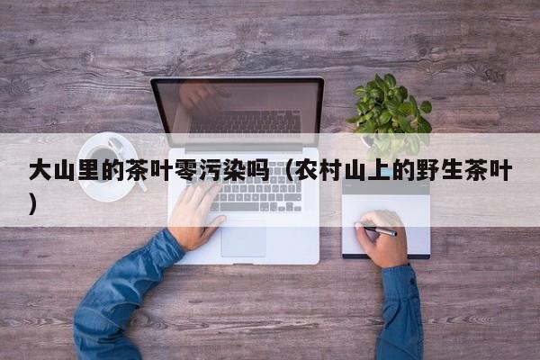 大山里的茶叶零污染吗（农村山上的野生茶叶）