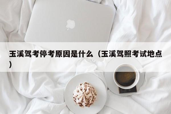 玉溪驾考停考原因是什么（玉溪驾照考试地点）