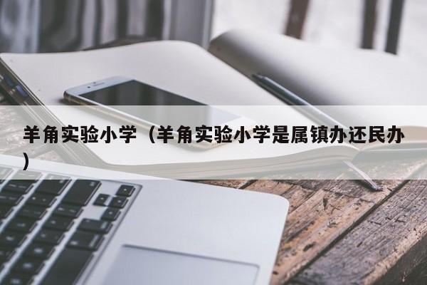 羊角实验小学（羊角实验小学是属镇办还民办）
