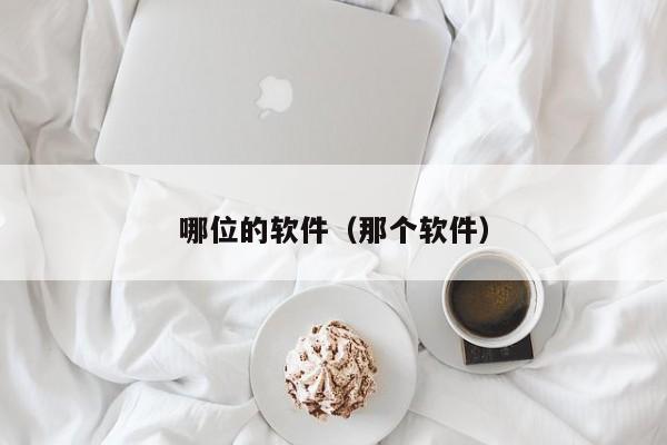 哪位的软件（那个软件）
