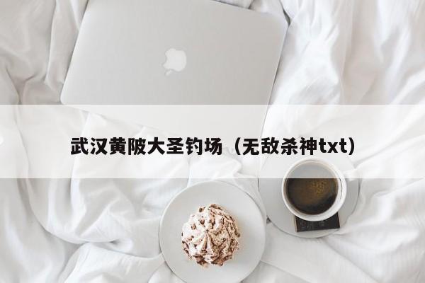 武汉黄陂大圣钓场（无敌杀神txt）