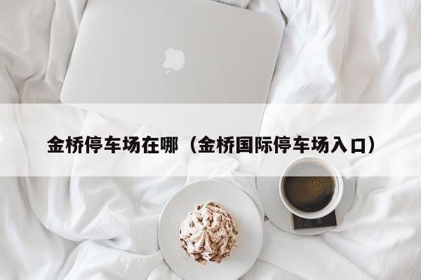 金桥停车场在哪（金桥国际停车场入口）