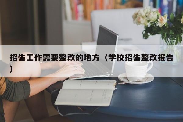 招生工作需要整改的地方（学校招生整改报告）