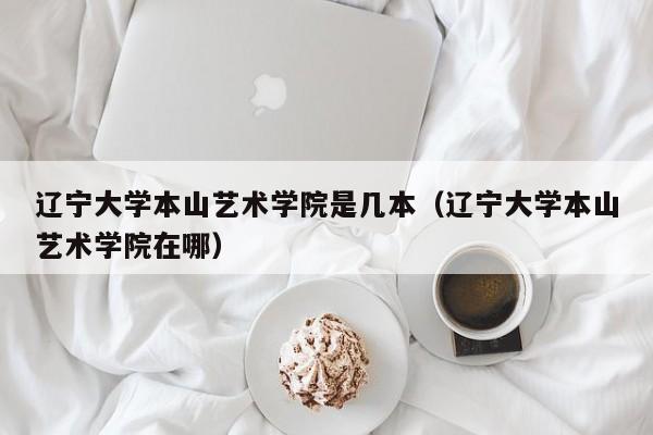辽宁大学本山艺术学院是几本（辽宁大学本山艺术学院在哪）