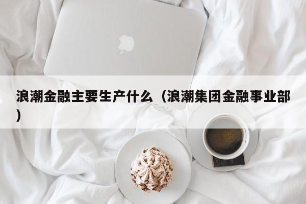 浪潮金融主要生产什么（浪潮集团金融事业部）