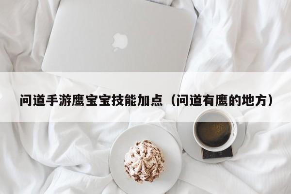 问道手游鹰宝宝技能加点（问道有鹰的地方）