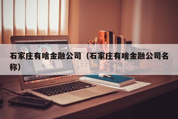 石家庄有啥金融公司（石家庄有啥金融公司名称）
