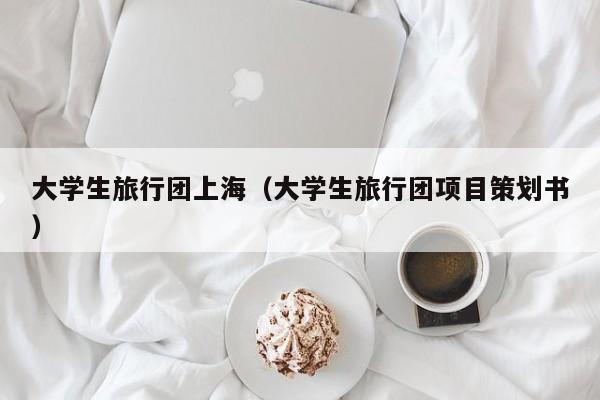 大学生旅行团上海（大学生旅行团项目策划书）