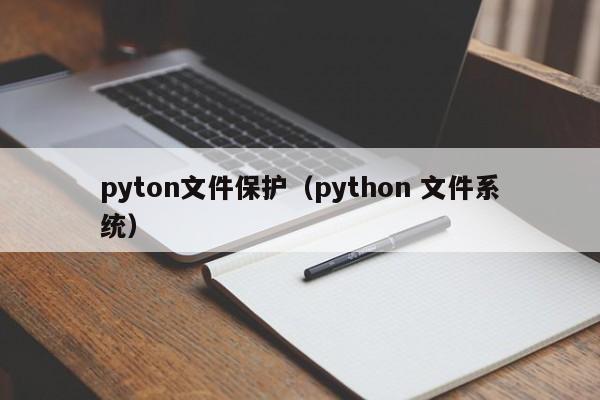 pyton文件保护（python 文件系统）