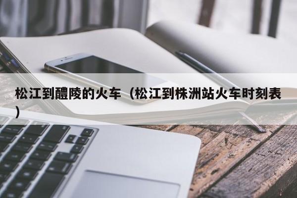 松江到醴陵的火车（松江到株洲站火车时刻表）